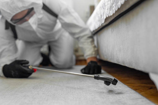 Professional Cockroach Control technician working in Shorewood Forest, IN
